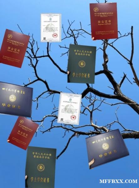 北京强化成人自考 中级高级职称资格证VIP培训保拿签约
